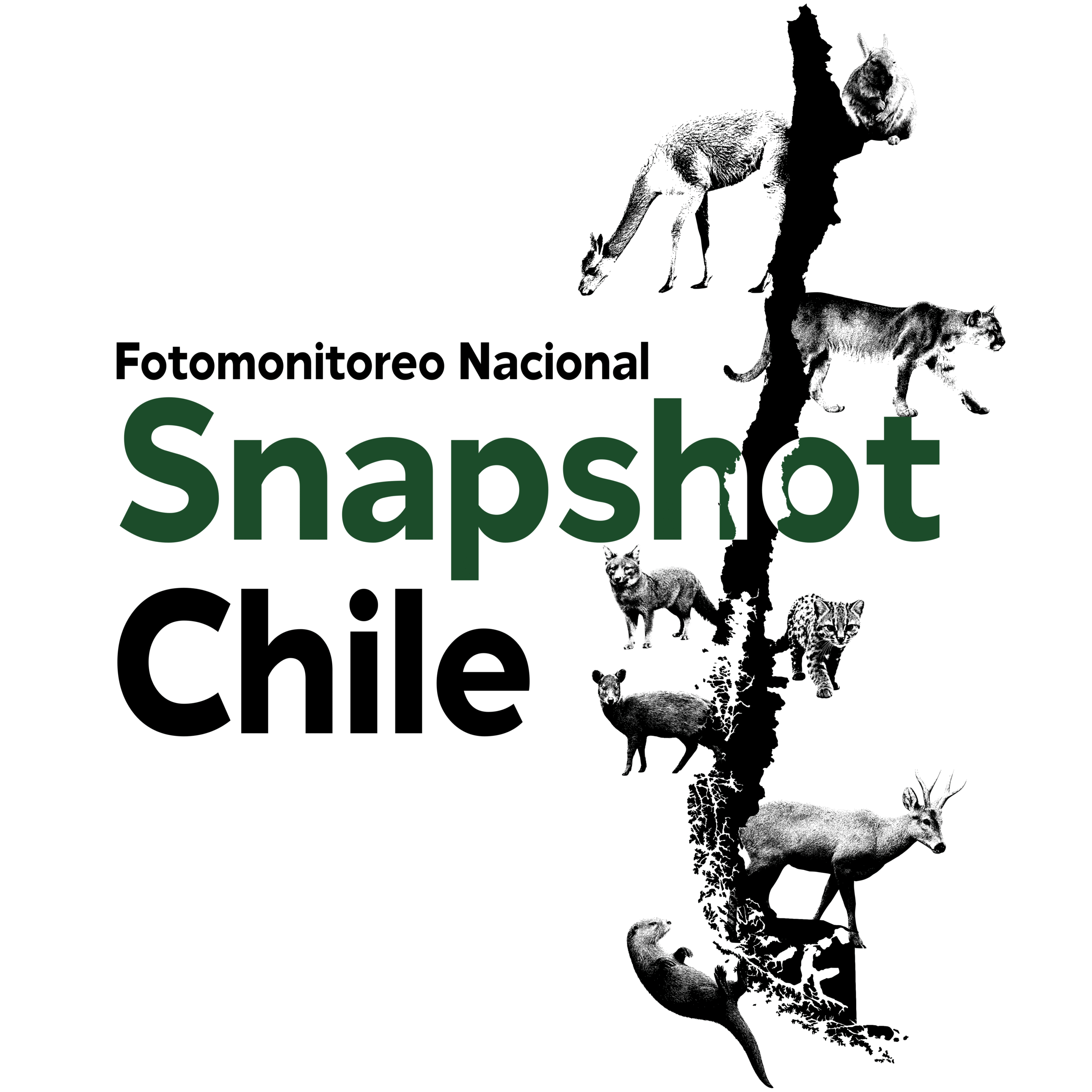 Logo de Snapshot Chile
